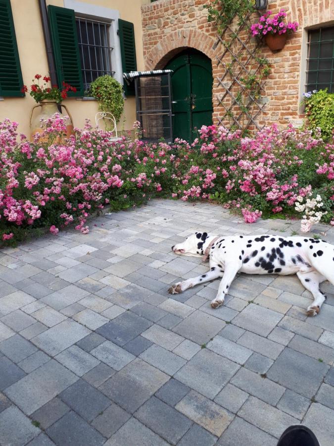 Casa Relax Immersa Nel Verde Della Natura Casalborgone Luaran gambar