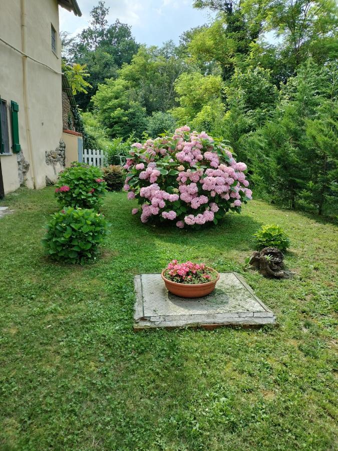 Casa Relax Immersa Nel Verde Della Natura Casalborgone Luaran gambar