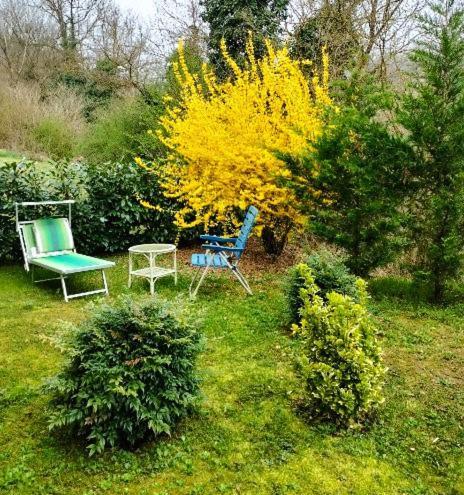 Casa Relax Immersa Nel Verde Della Natura Casalborgone Luaran gambar